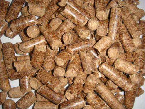 我國生物質(zhì)顆粒燃料應用前景廣闊
